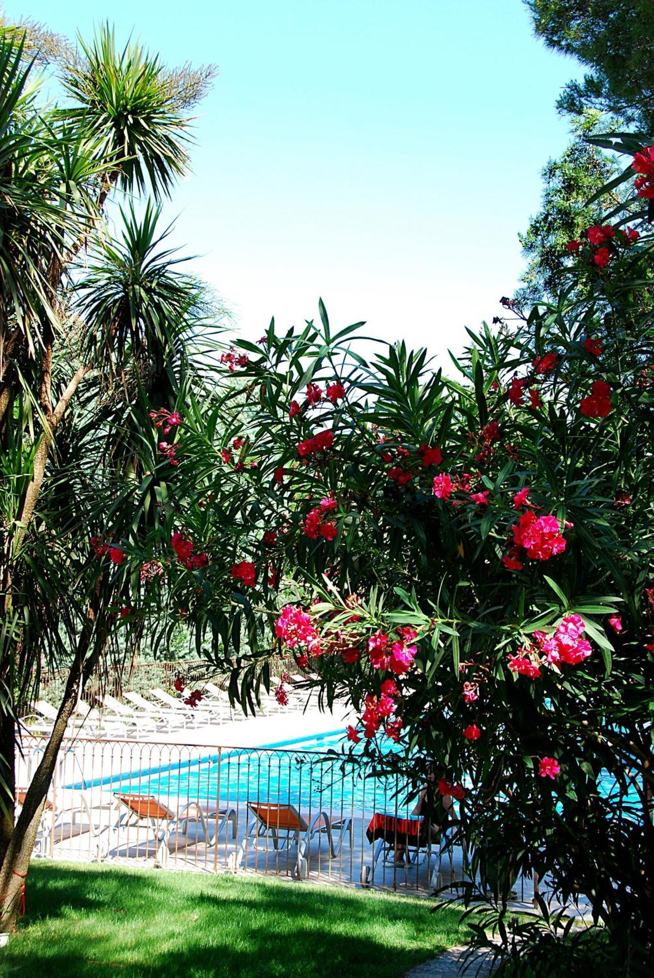 Hotel Les Mazets Des Roches Tarascon Exterior photo